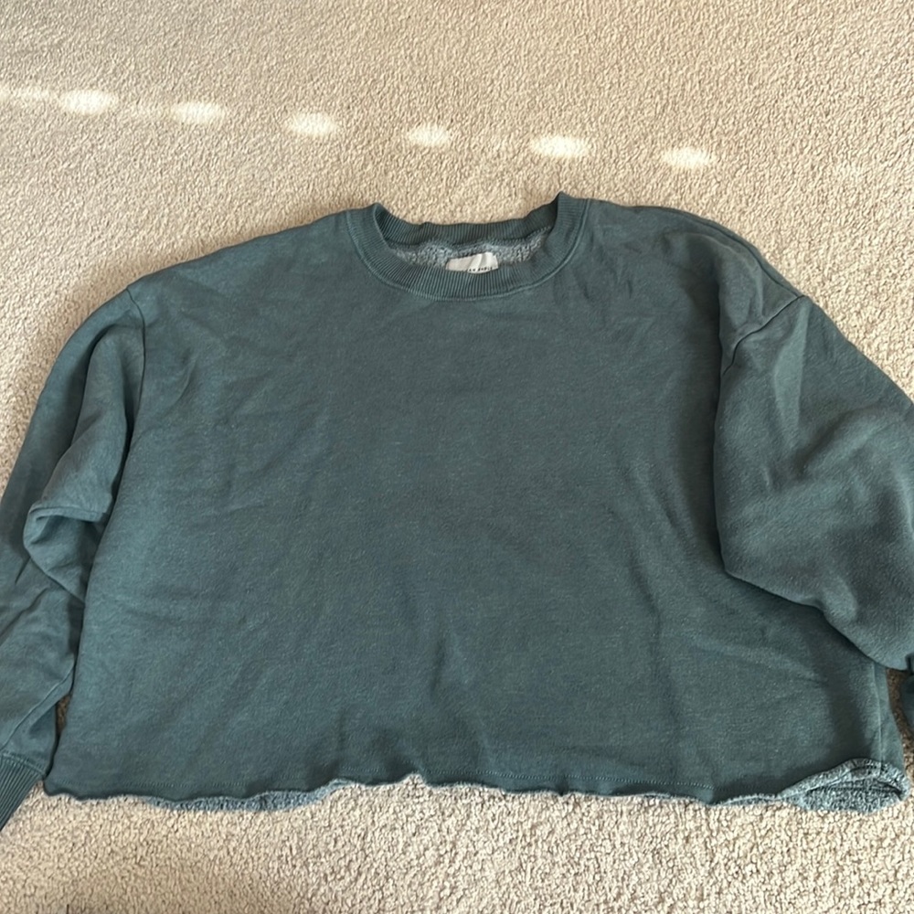 American eagle cropped crewneck